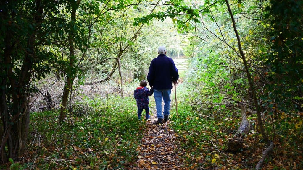Grandpa and grandchild walking in woods