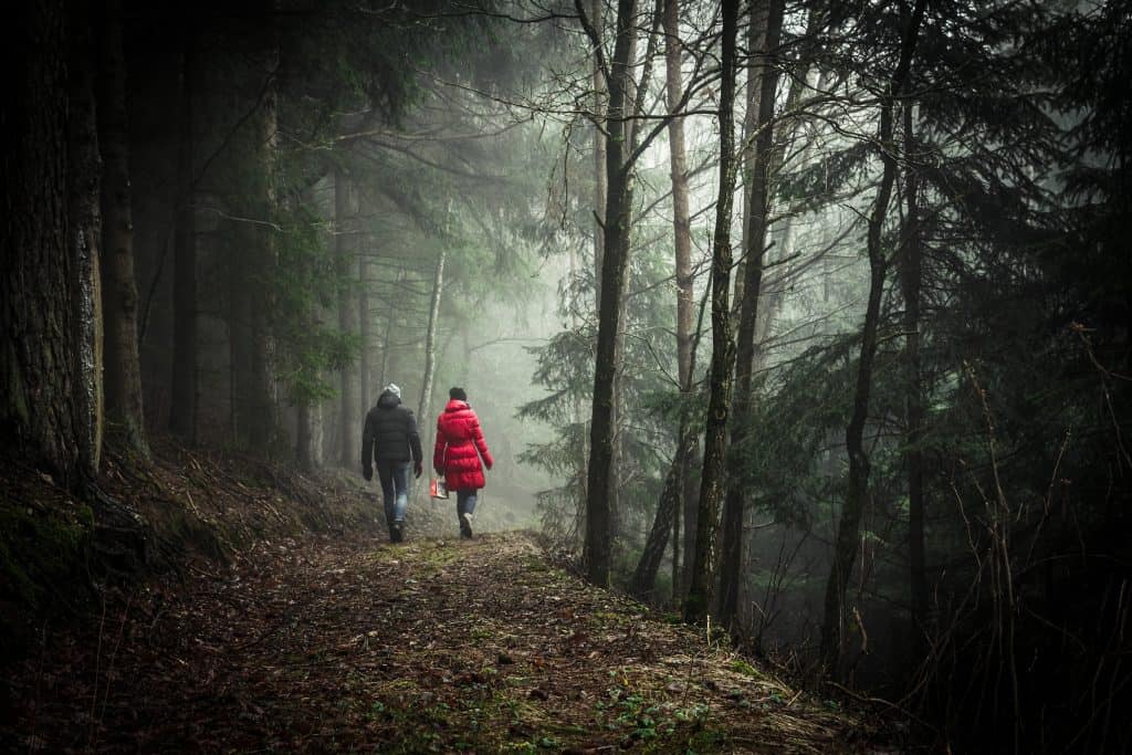 two people walking in a forest