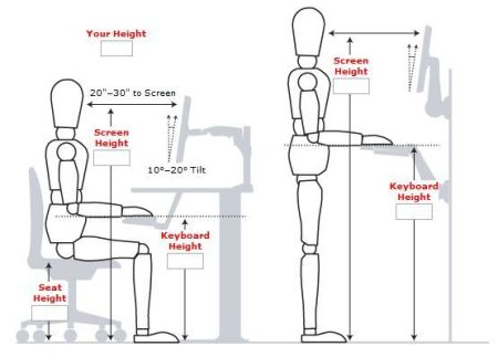 proper posture for standing and sitting at a desk