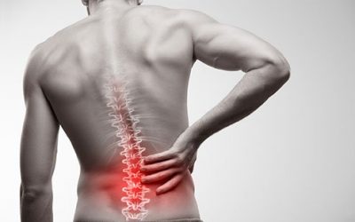 5 Reasons You Have Lower Back Pain