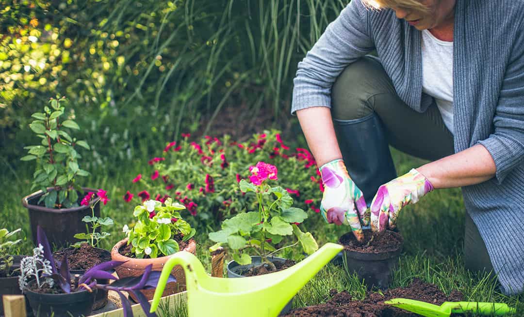 3 Exercises to Prevent Pain for Portland, OR Gardeners