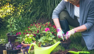 Avoiding pain while gardening.